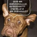 Emoji quoimgl