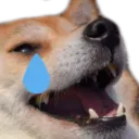 Emoji cry