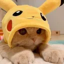 Emoji Cat_pika