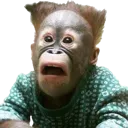 Emoji Singe