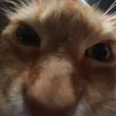 Emoji snifsnif