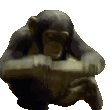 Emoji monkey_brise