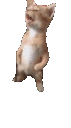 Emoji stand_brise