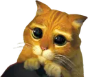 Emoji shrekcat