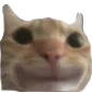 Emoji cathappy