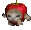 Emoji cat_apple_brise