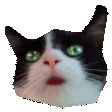 Emoji wow_flip