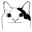 Emoji miaou