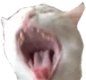 Emoji 6565screamingcat