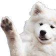 Emoji Coucou