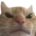 Emoji cat_mefiant