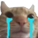 Emoji cat_pleure
