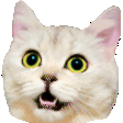 Emoji cat