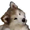 Emoji emoji_4