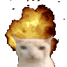 Emoji Epic_CatBoom
