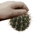 Emoji c_cactus