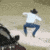 Emoji c_yeehaw