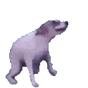 Emoji c_dogDance