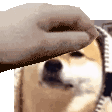 Emoji 819286543360327681