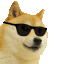 Emoji cooldoge1