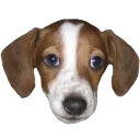 Emoji frankerz