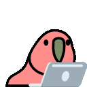 Emoji laptop_parrot