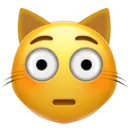 Emoji flushed_cat
