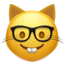Emoji nerd_cat_face