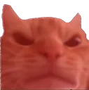 Emoji angry_cat