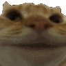 Emoji cat_no