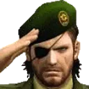 Emoji salute