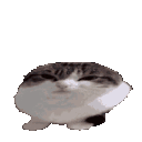 Emoji blorpous