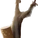 Emoji 1LizCig