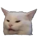 Emoji wtf