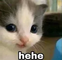 Emoji hehe