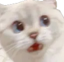 Emoji shocked