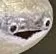 Emoji pogfish