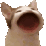 Emoji Catpop_LS