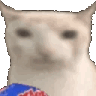 Emoji CatEat
