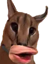 Emoji SCfloppapog