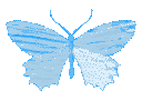 Emoji blue_butterfly