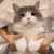 Emoji mimidance_luxyfr
