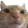 Emoji chat_luxyfr