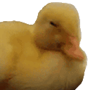 Emoji duckNoNo_luxyfr