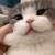Emoji mimisquish_luxyfr