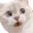 Emoji ScaredCat_luxyfr