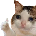Emoji CatSadThumbsUpTearCryOk
