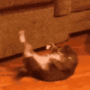 Emoji toutpourlesmuscles