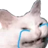 Emoji CatCry_LS