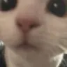 Emoji Chat_bebe_LS